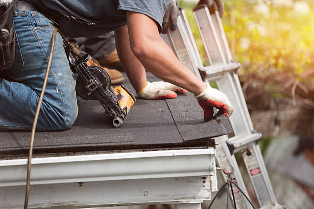 Roof Gutter Cleaning in Wesson, MS